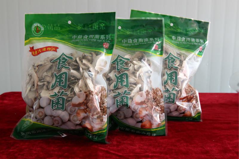 双孢菇 绿色双孢菇 双孢菇干品—厂家**